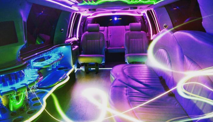 Interior Navigator Gris